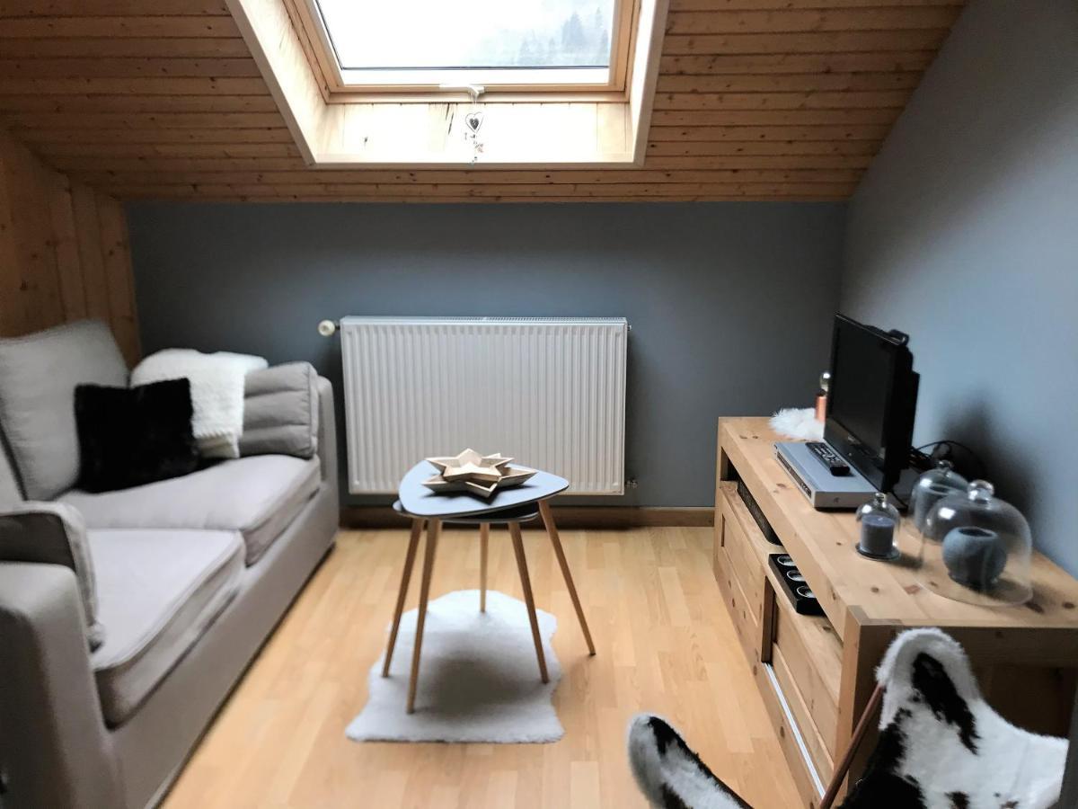 Charmant Appartement 2-4 Personnes Entre Annecy Et Aravis 通内 外观 照片
