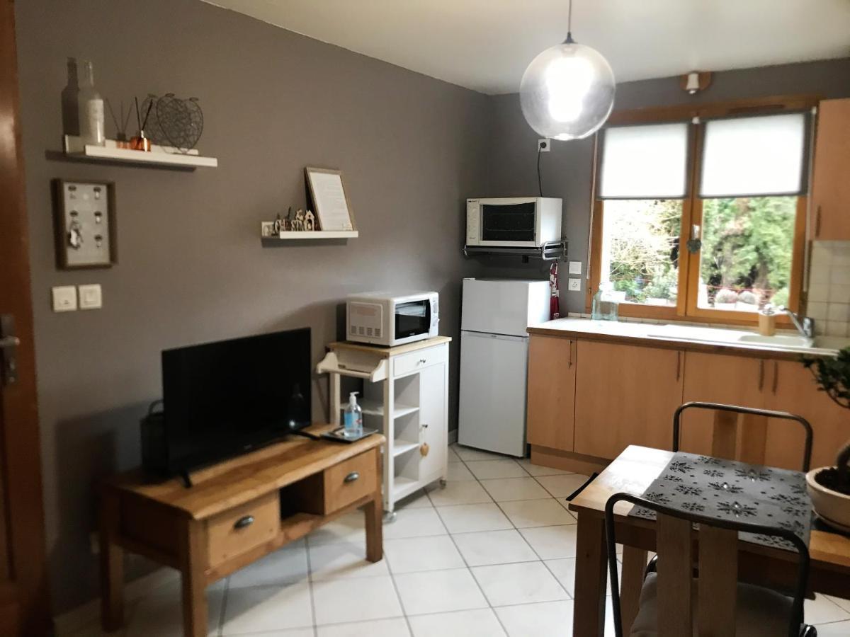 Charmant Appartement 2-4 Personnes Entre Annecy Et Aravis 通内 外观 照片